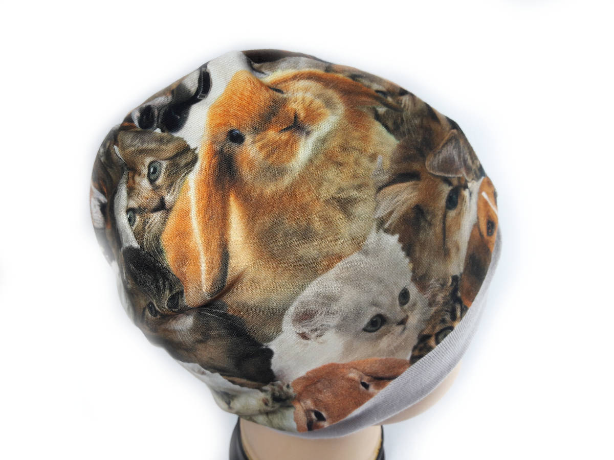 kapa - Životinje foto