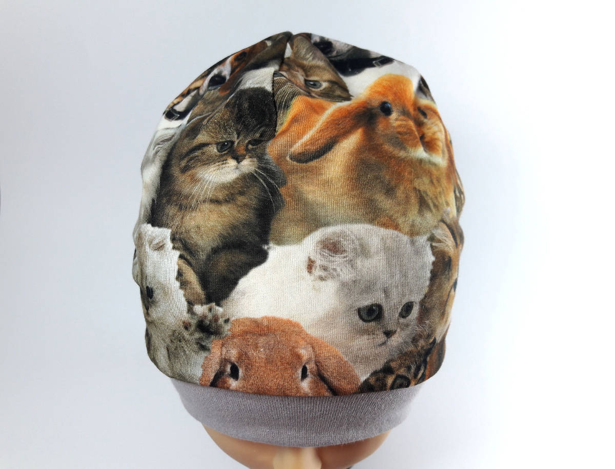 kapa - Životinje foto