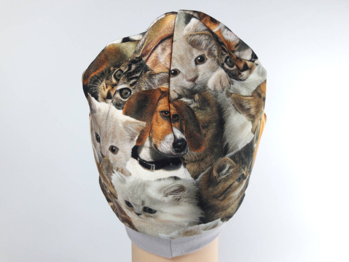 kapa - Životinje foto